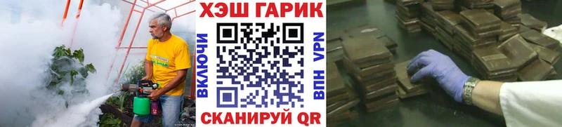 ГАШИШ хэш  Шенкурск 