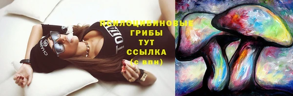 spice Абинск