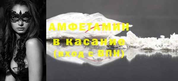 мет Алексин