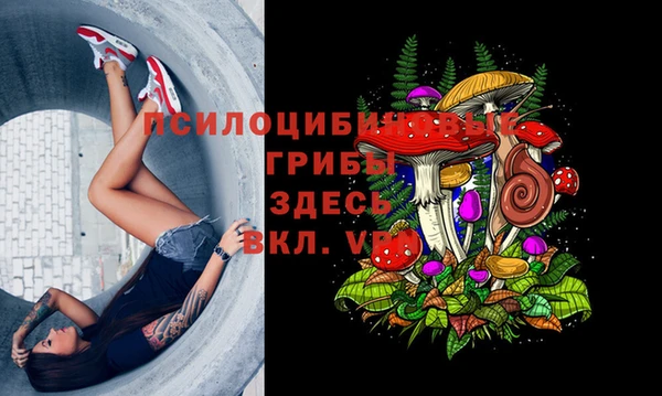 спайс Абаза