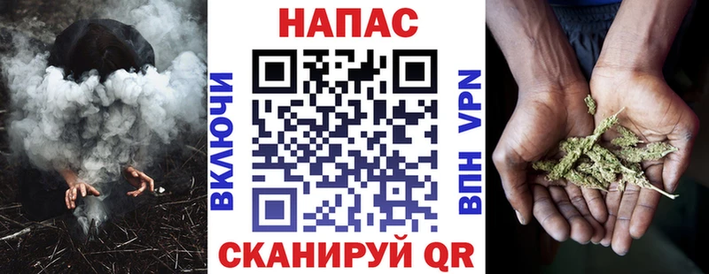 Конопля марихуана Шенкурск